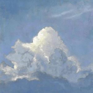 火影忍者雷影和纲手生猴子
